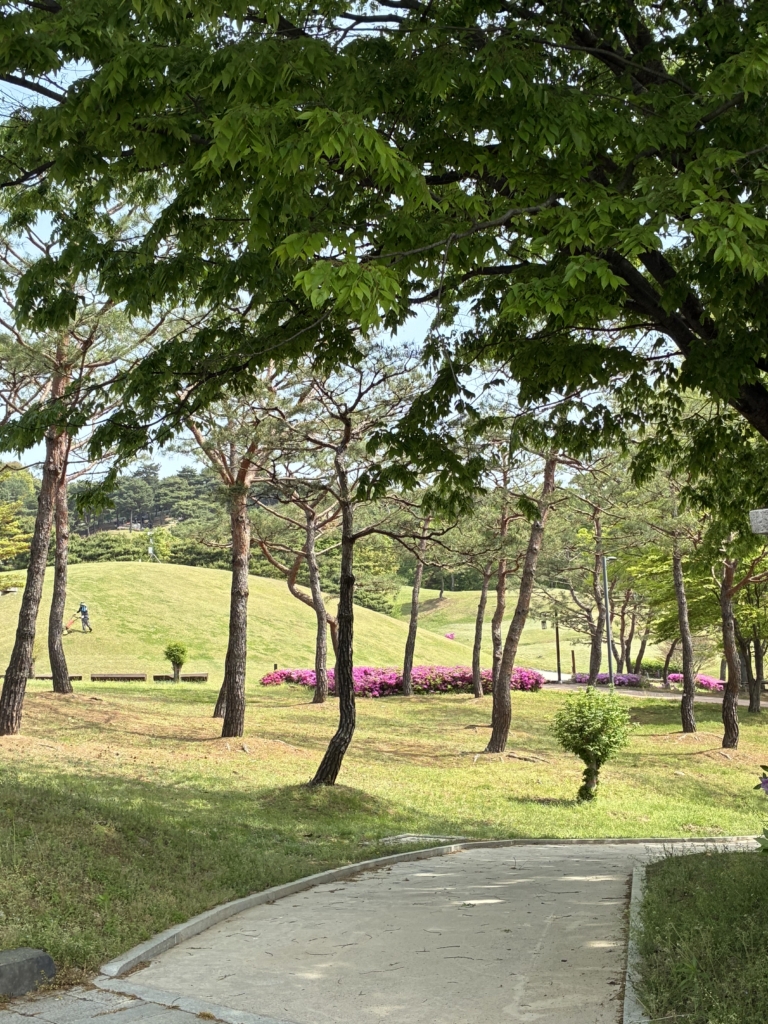 KakaoTalk_20260423_160618353_25