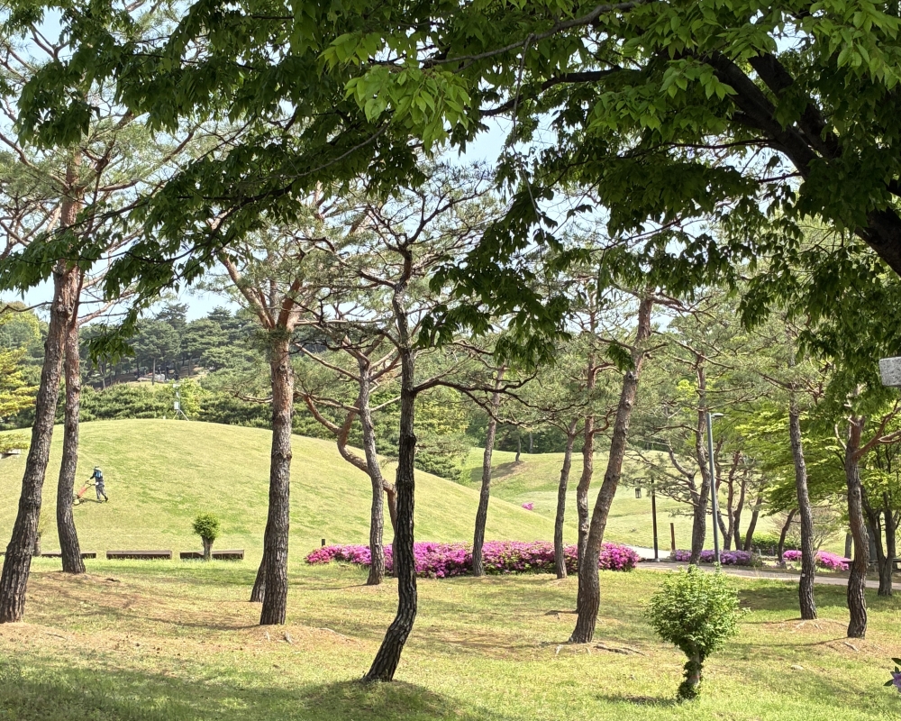 KakaoTalk_20260423_160618353_25