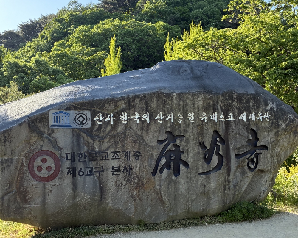 KakaoTalk_20260511_164314154_01